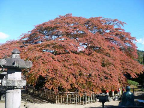 lpt7 bw480h360 5 1 lpt7 bw480h360 5 1